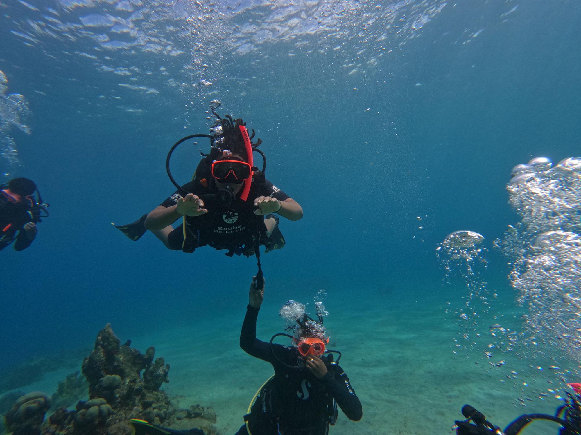 Dee Under The Sea