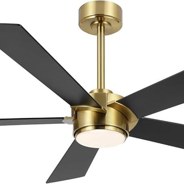 ELEHINSER 54" Ceiling Fan with Light and Remote, Modern Dimmable LED Light, 6-Speed Noiseless Reversible DC Motor, 5 Plywood Ceiling Fan Black/Gold
