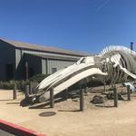 Seymour Marine Discovery Center