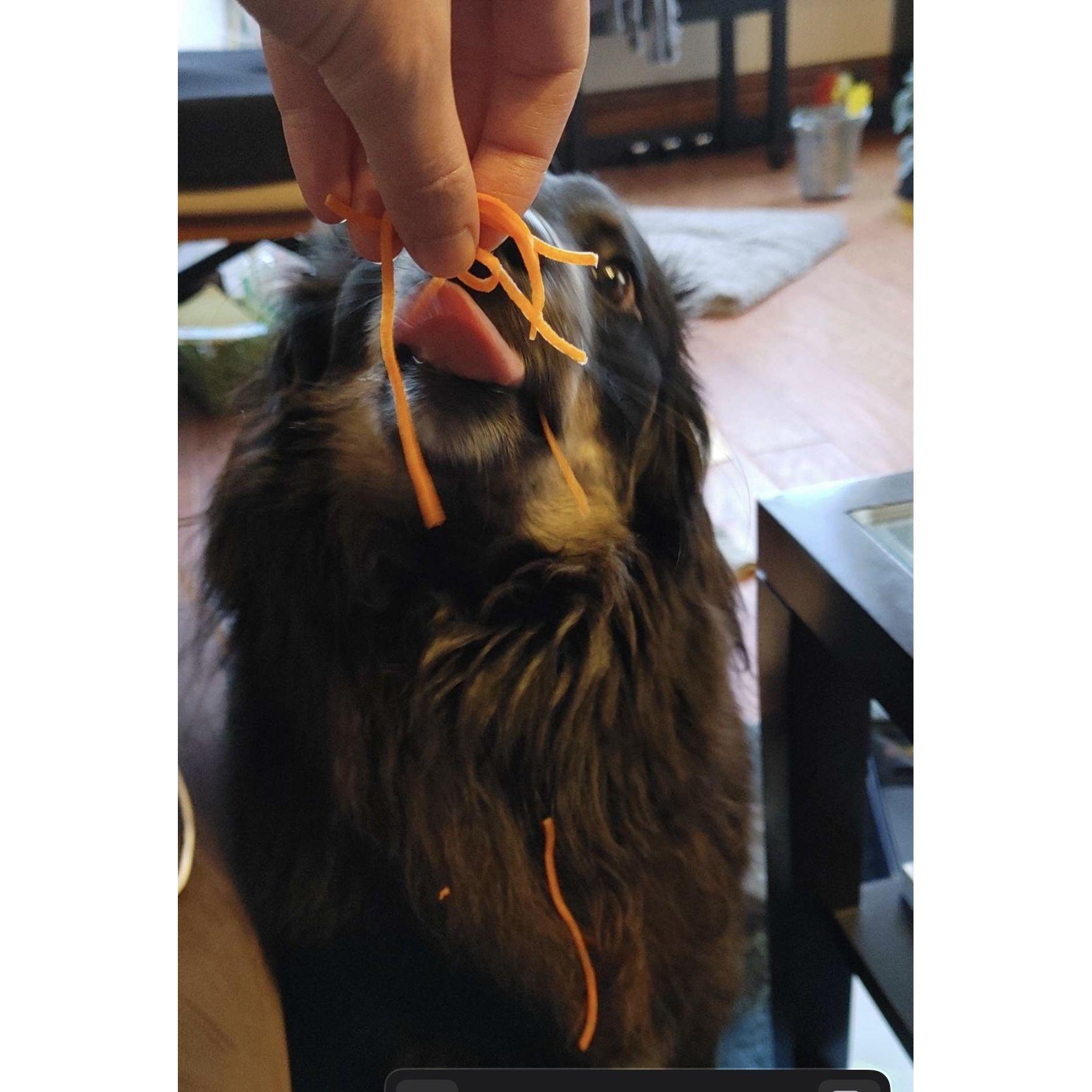 Carrot snack