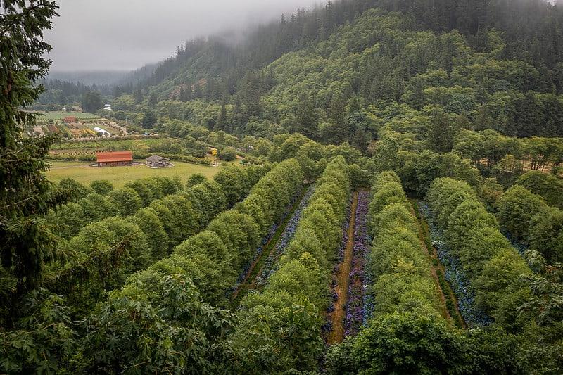 The Wedding Website of Meaghan McKee and Carmine DeStefanis