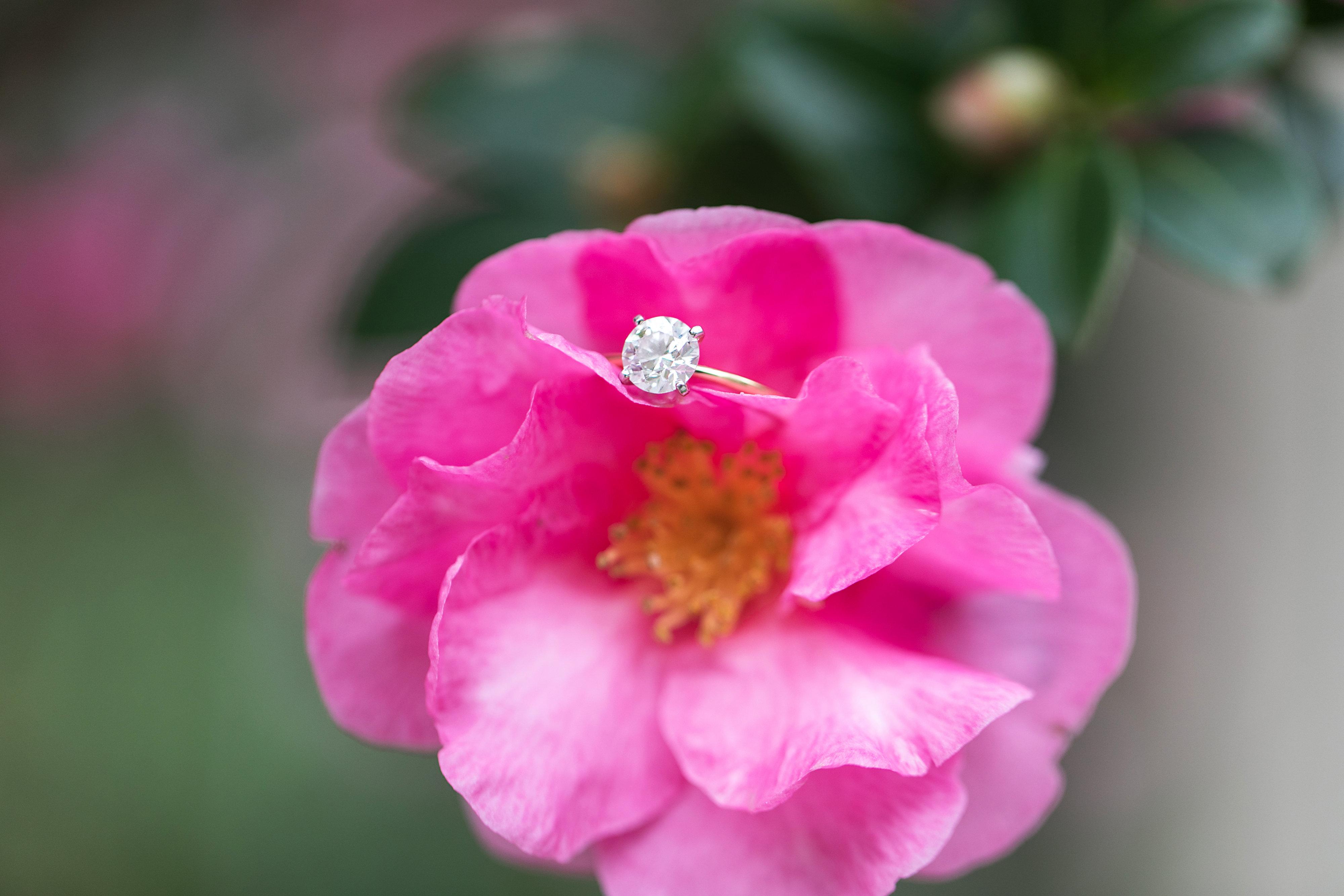 The Wedding Website of Julia Peavy and Nick Jenkins