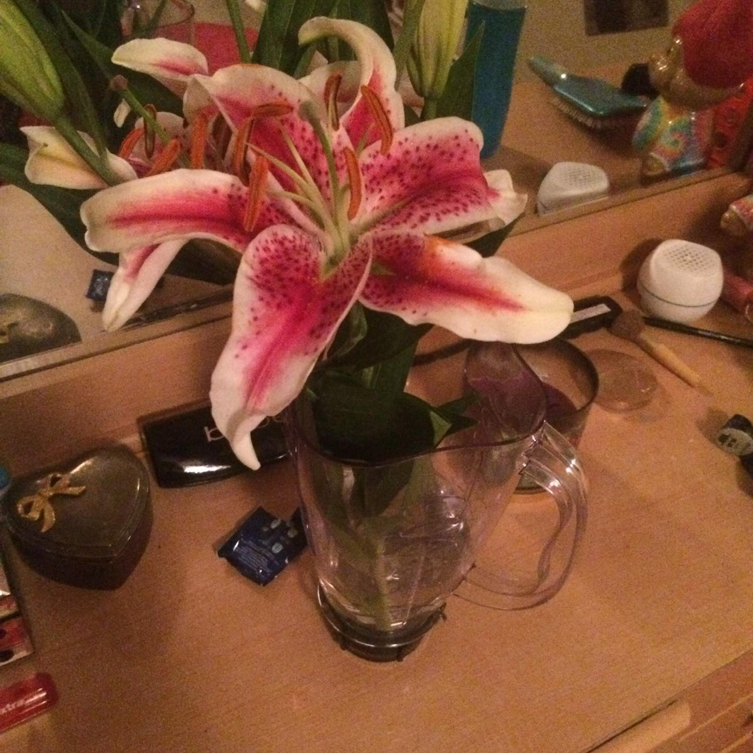 The first flowers Bierley ever brought morning. She didn't have a vase, so she improvised... with a blender.