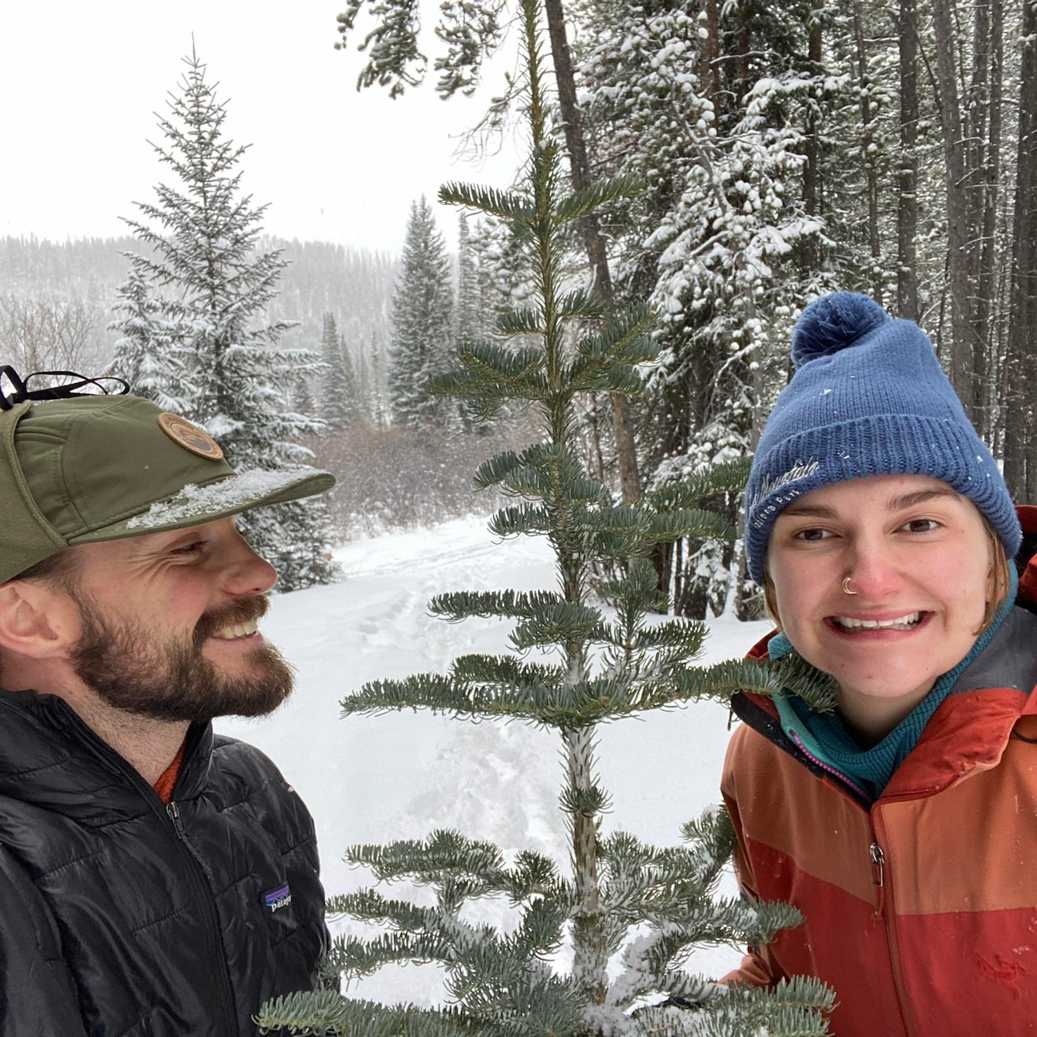 Hobbies include cutting down our own Christmas trees! We love Christmas.