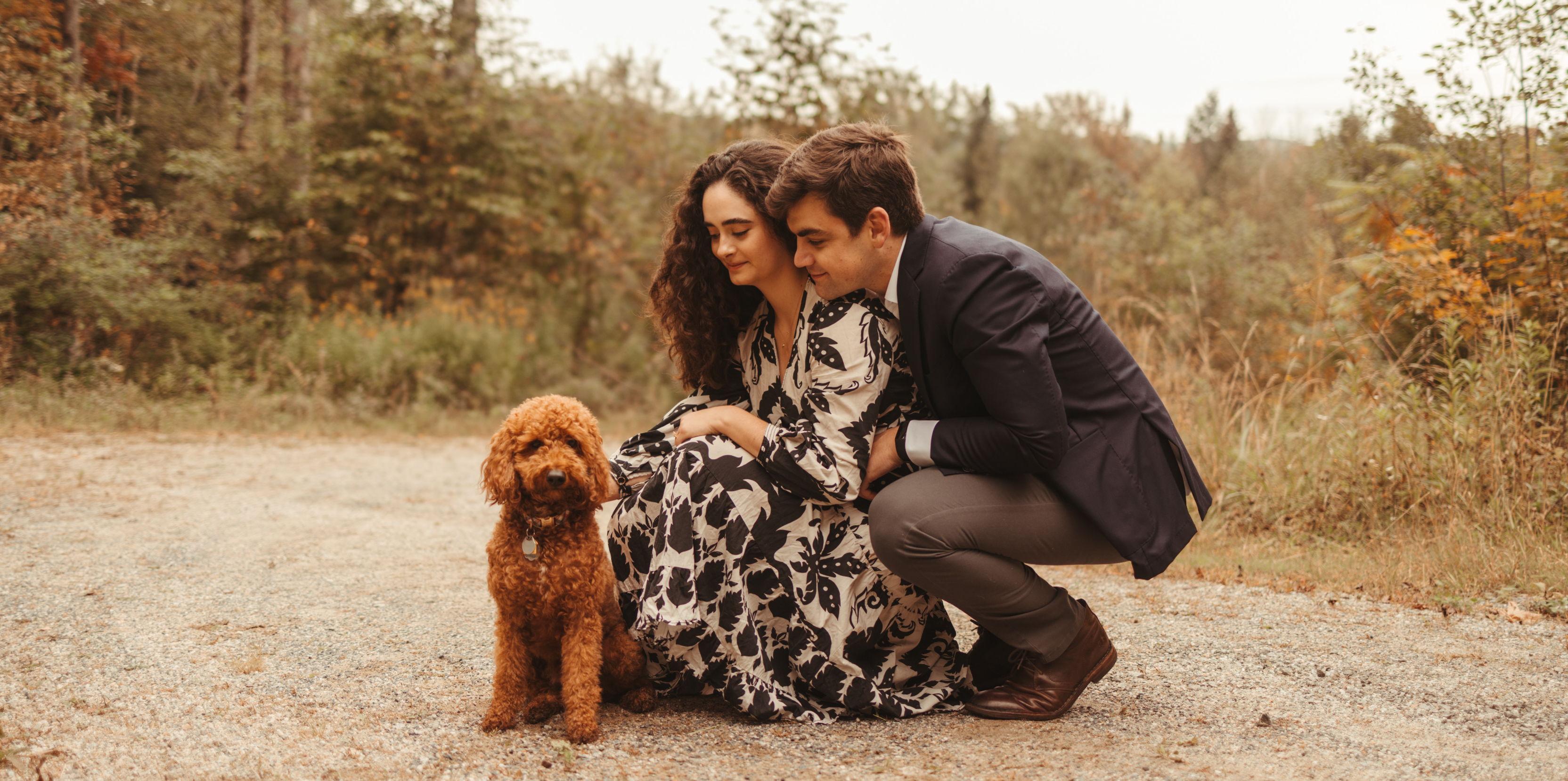 f6972cca-630b-4a64-9b18-ff5f24238350