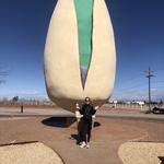 Alamogordo PistachioLand