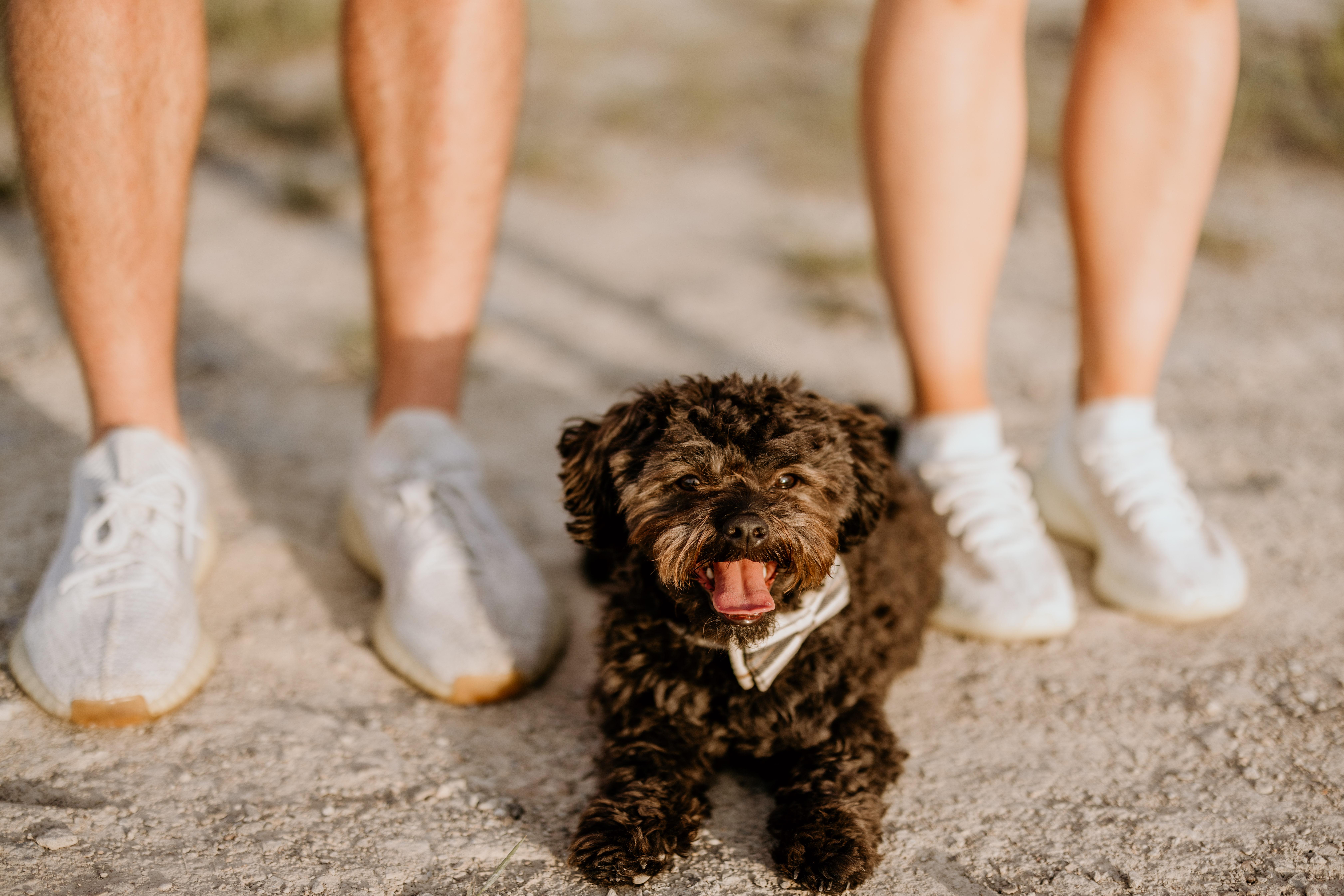 The Wedding Website of Amy Achberger and Brian Rademacher