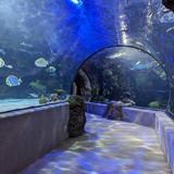 Virginia Aquarium & Marine Science Center
