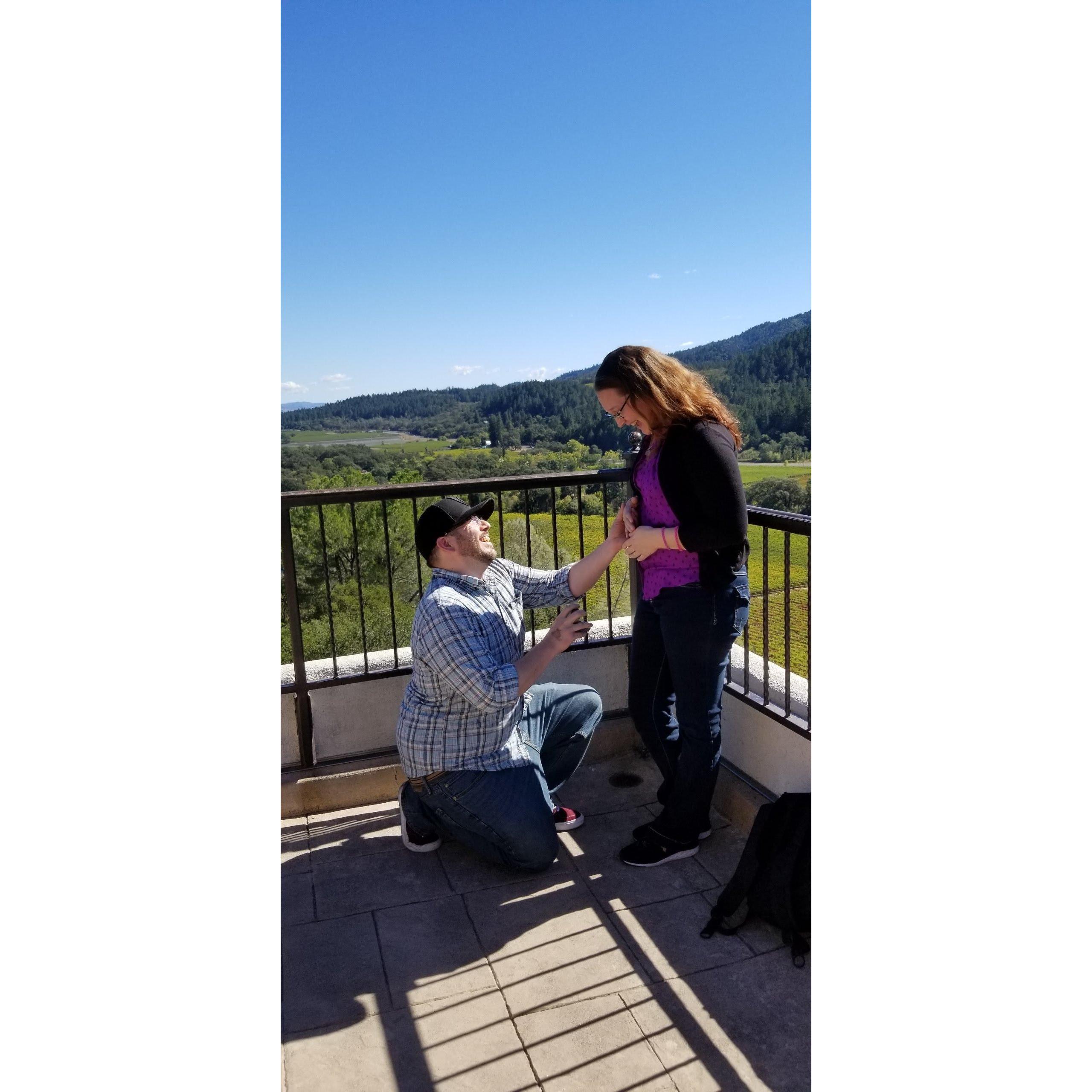 The Proposal!