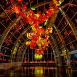 Chihuly Garden and Glass