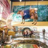 Madison Children's Museum