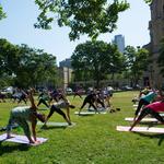 Yoga in the Park