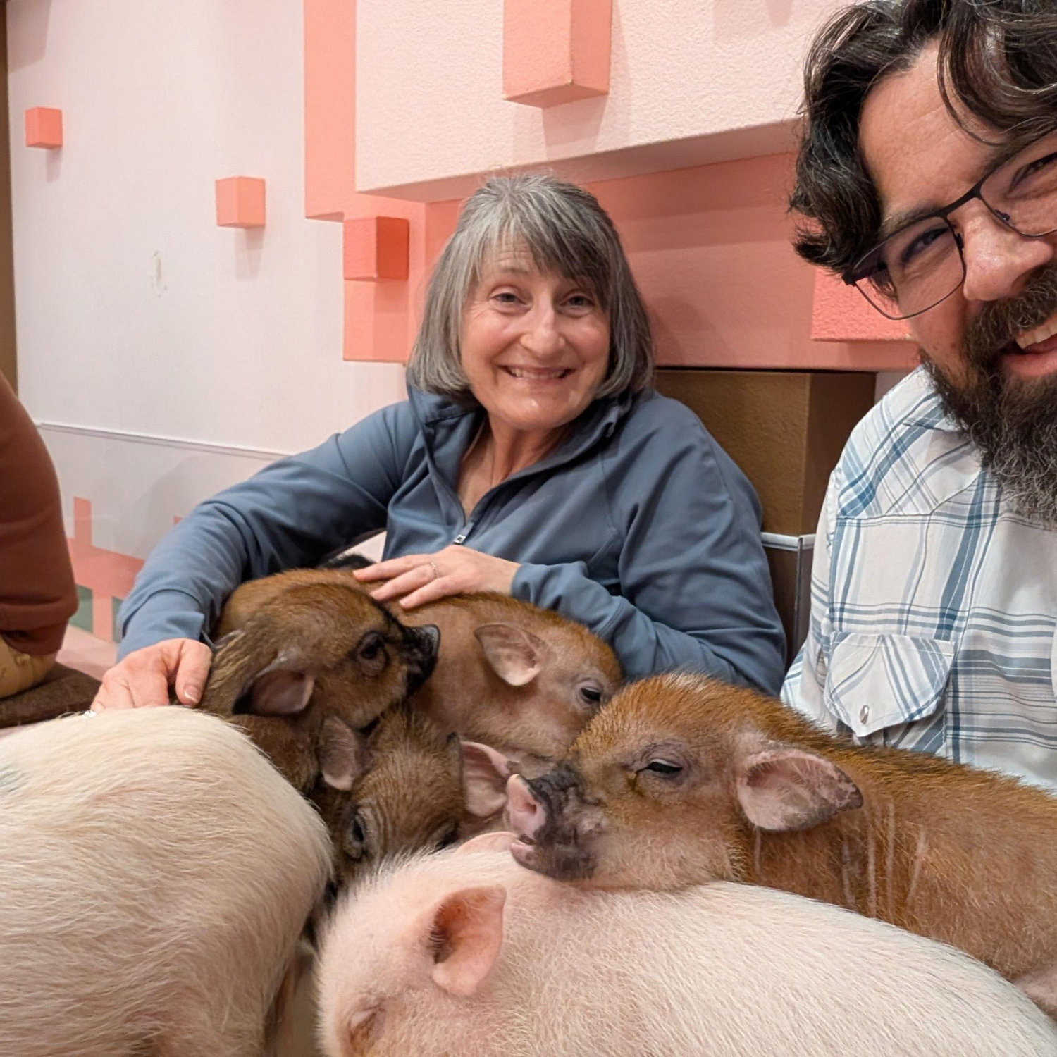 Pig Cafe in Tokyo