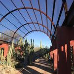 Desert Botanical Garden