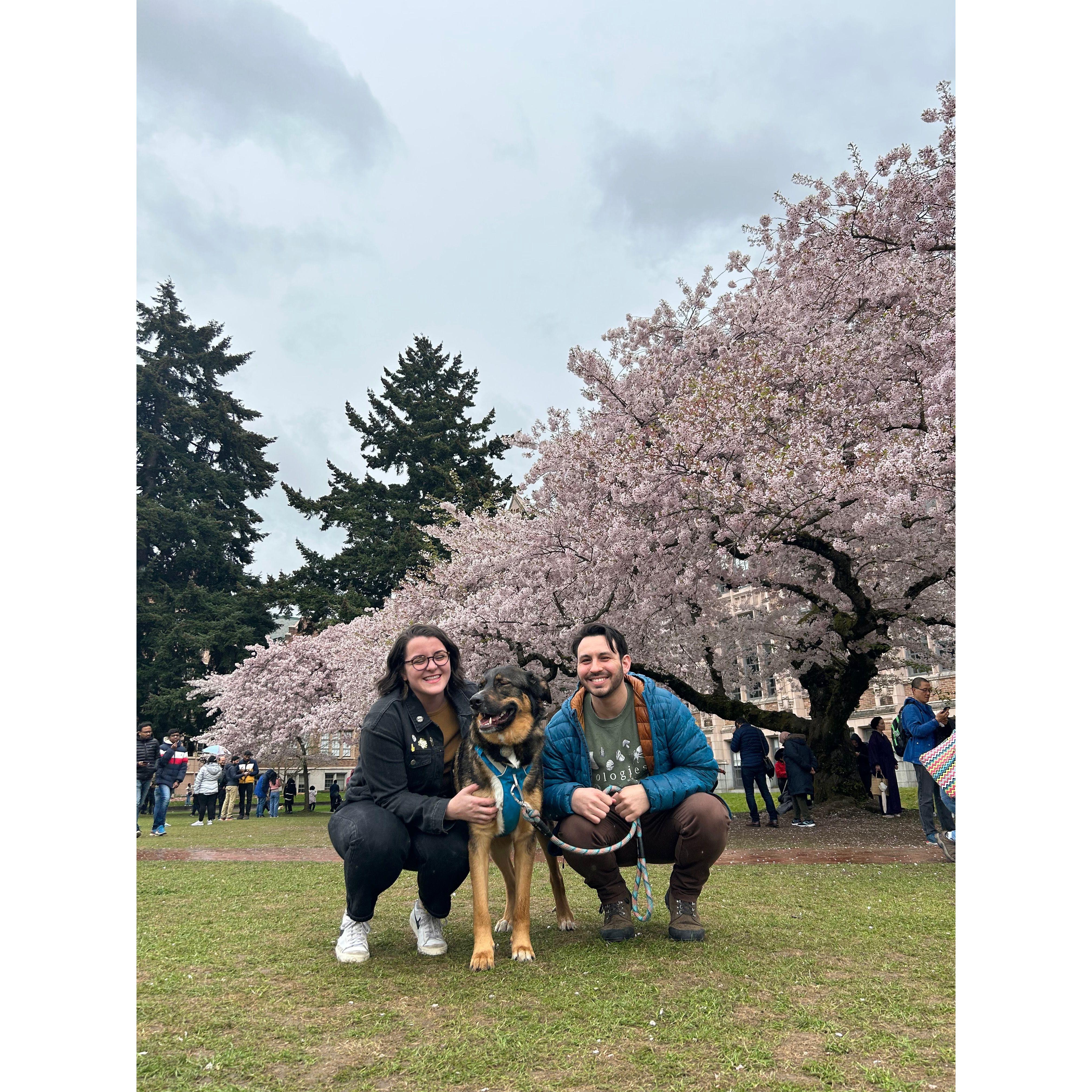 April 15, 2023, the day Colby proposed to Mac! First the cherry blossoms and then the surprises!