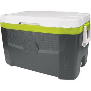 Igloo 55-Qt Quantum Ice Chest