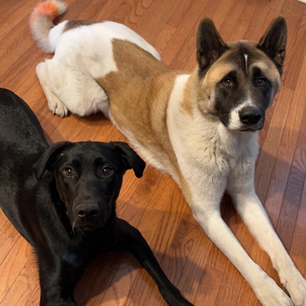 The best furry kids!