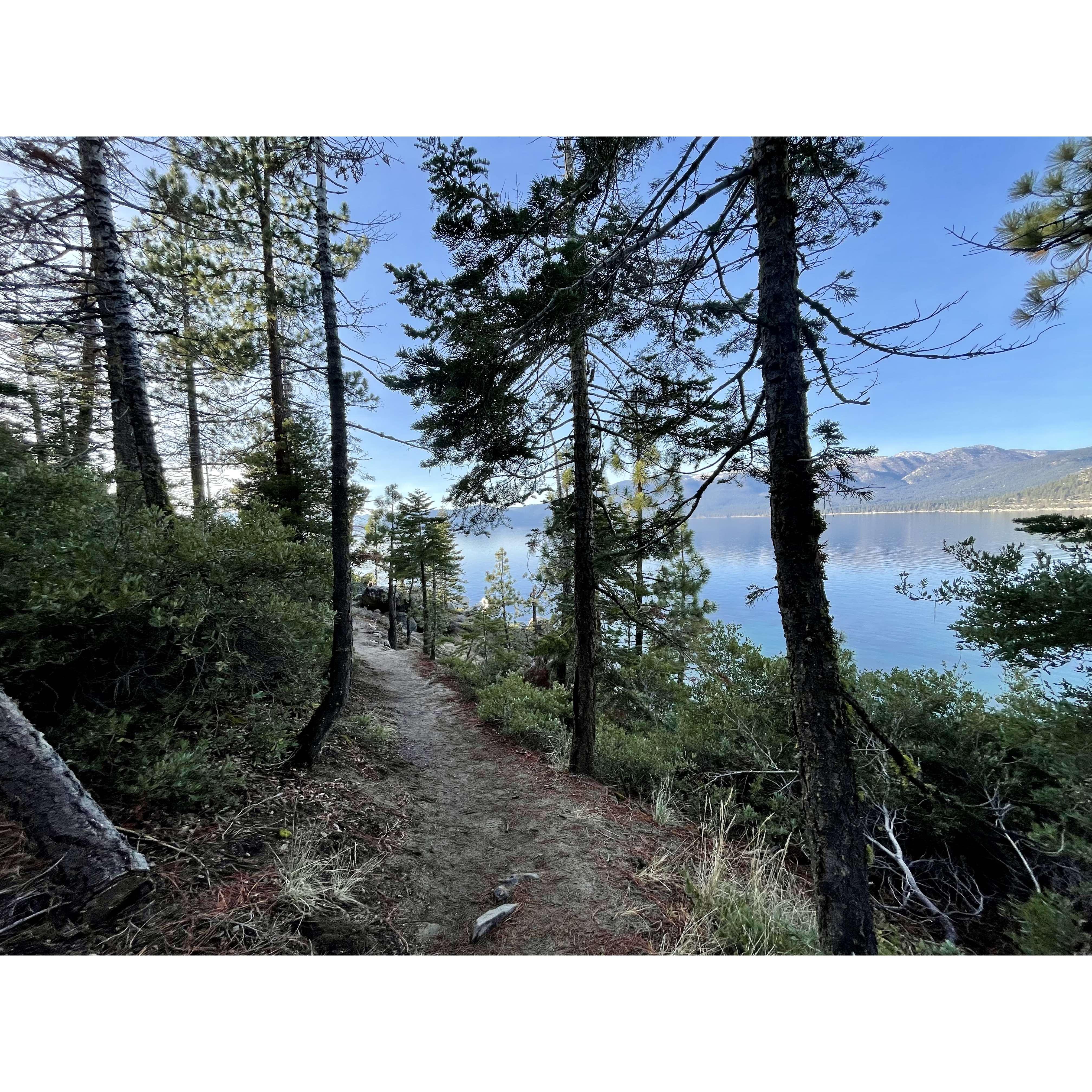 Proposal 2021: The path to Emerald Cove where the proposal happened!