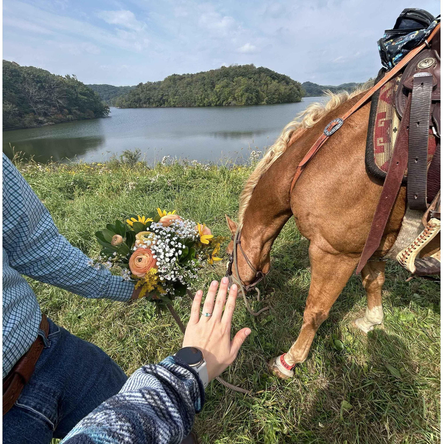 Proposal!