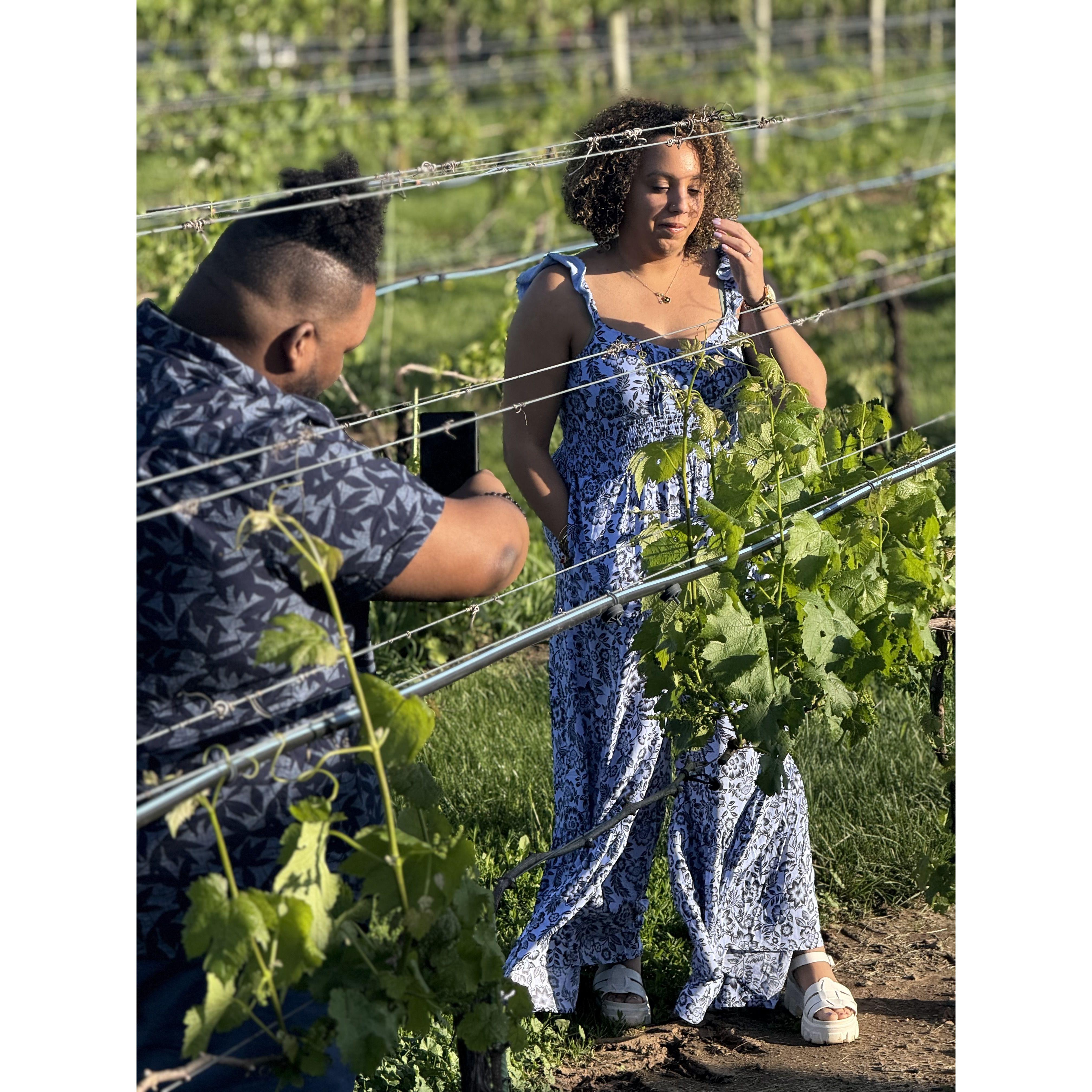 Photo shoot in the vineyard