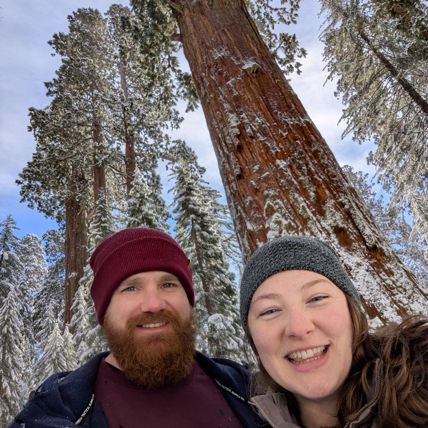 Sequoia!