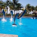 Dolphinaris Barceló