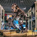 The Academy of Natural Sciences of Drexel University