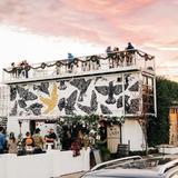 The Starling Bar