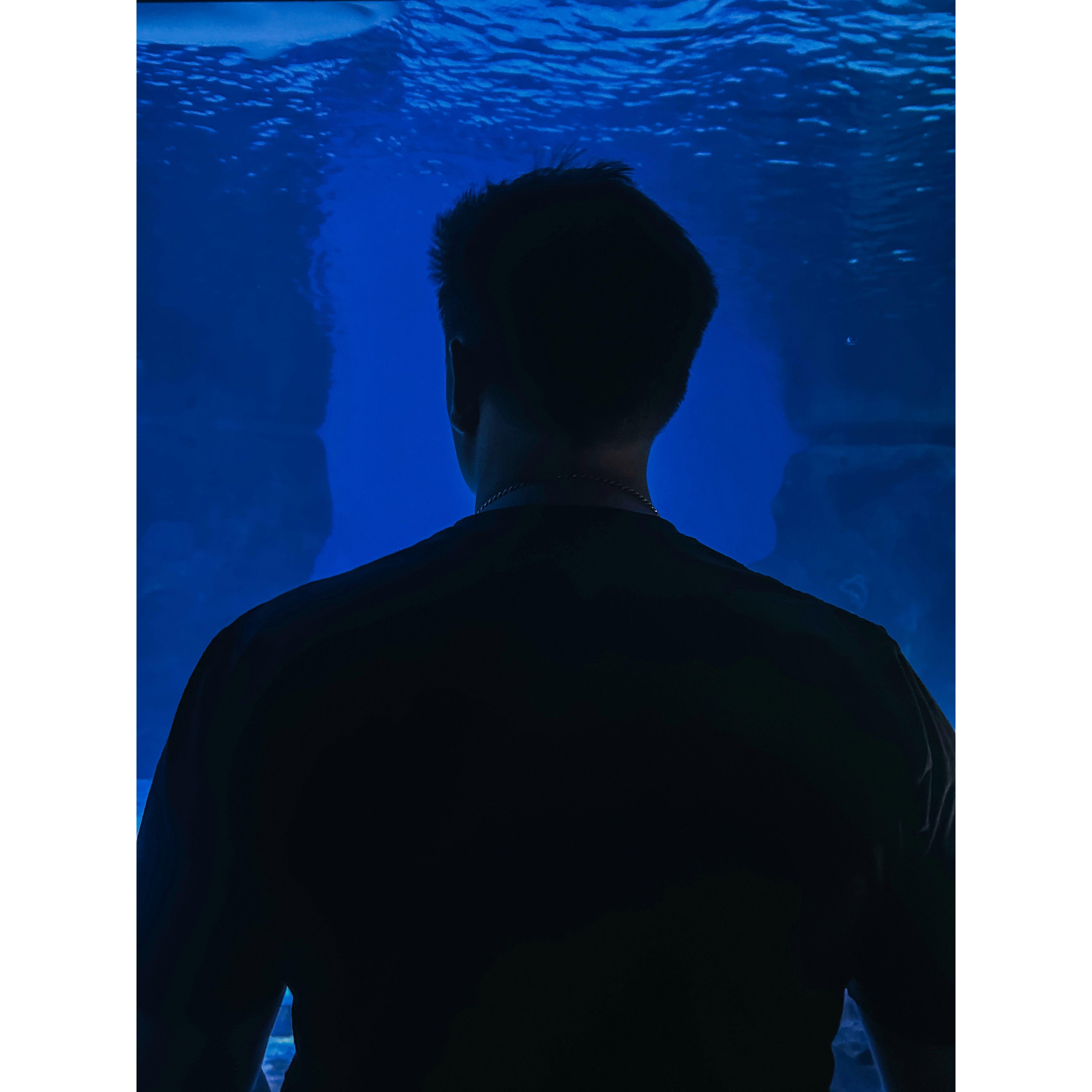 April 4th, 2024. Our fourth anniversary!!! As per our tradition, we went to the aquarium and had sushi for dinner.