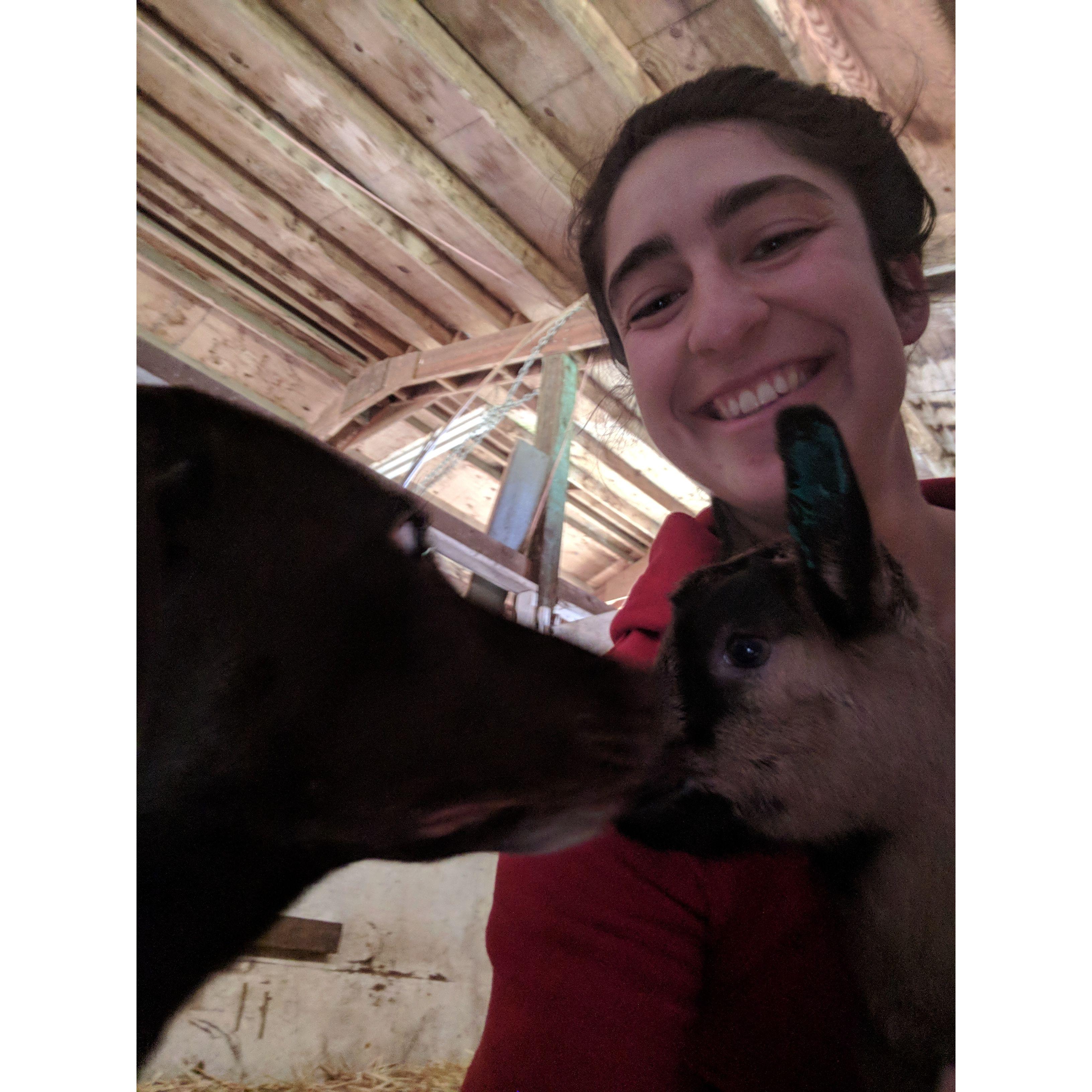 Important animals in our lives grew with us. Balagan (Bali) our dog, and Lola, our goat. This is Lola at about 4 weeks old!