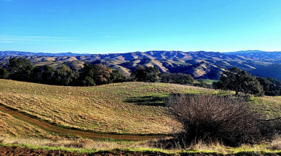 The Wedding Website of Hannah Jacob and Matthew Krispin