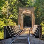 Henry Cowell Redwoods State Park