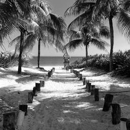 Our Honeymoon Fund (Venmo)