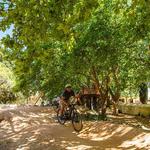 MTB, RUNNING & HIKING TRAILS / 越野自行車, 跑步與山區健行
