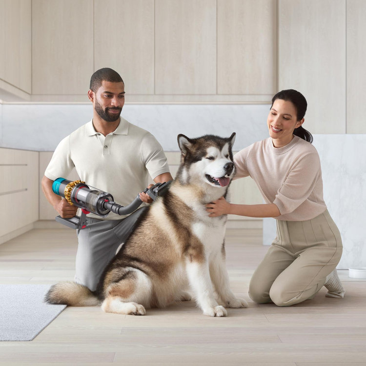 Dyson, Pet Grooming Kit For Cordless Vacs | Zola