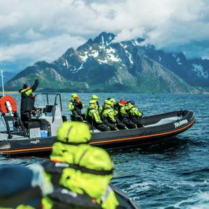 Sea Eagle Tour to Trollfjorden, Norway
