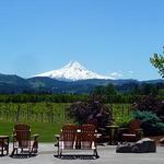 Mt. Hood Winery