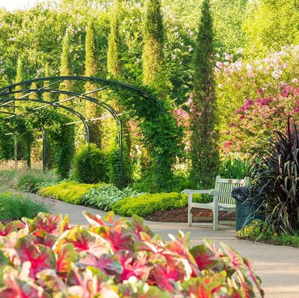 Year Membership to Cheekwood