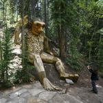 Breckenridge Troll Hike