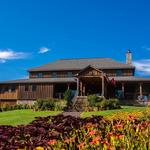Saudé Creek Vineyards