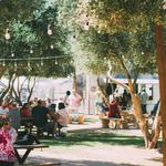 Queen Creek Olive Mill