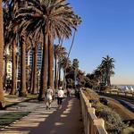 Palisades Park