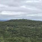 The Devil's Backbone
