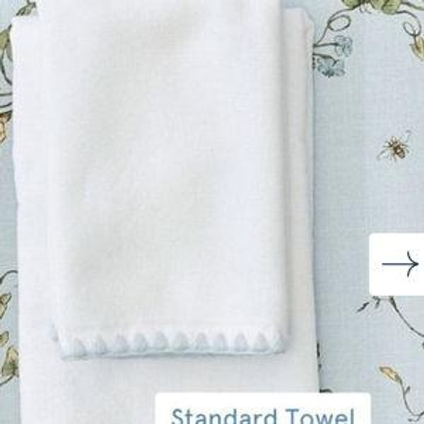Stitched Edge Powder Bath Towels (pair) Light Blue on White Standard
