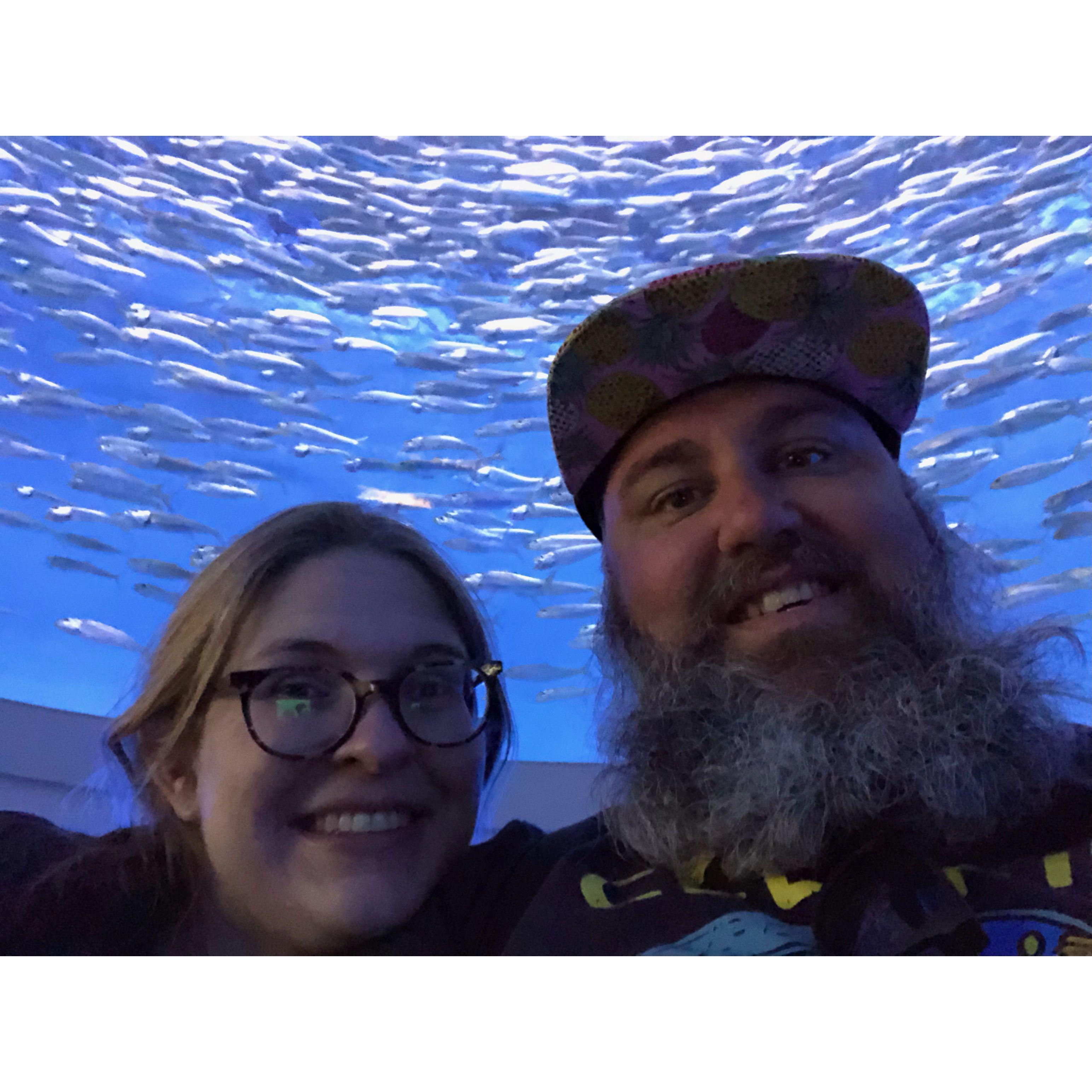 At the Monterey Bay Aquarium, hours before we got engaged.