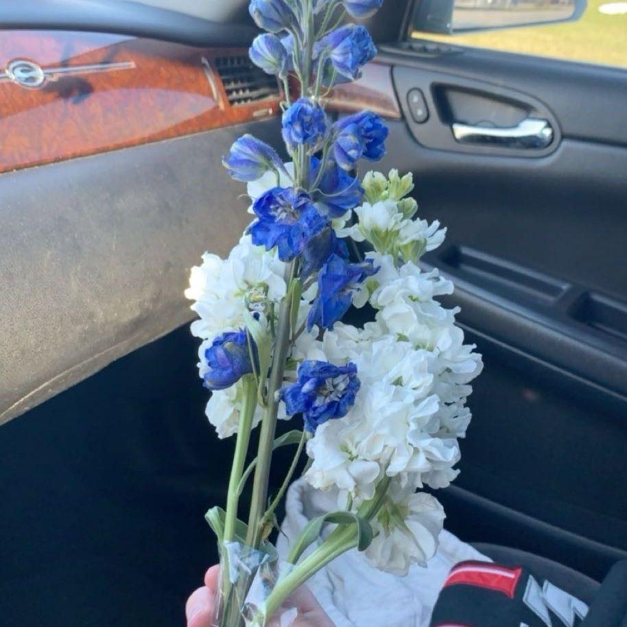 The flowers Emily bought Haley for their first date