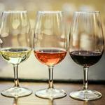 Wine Tasting in Sonoma & Napa County