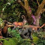 Creation Museum