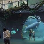 Clearwater Marine Aquarium