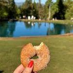 Apple Hill | High Hill Ranch